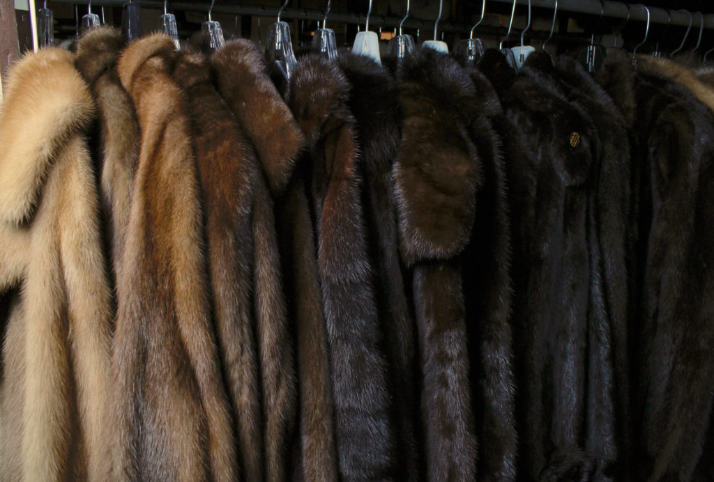 Home - Fur Storage