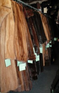 A variety of coats in our temperature controlled fur storage vault